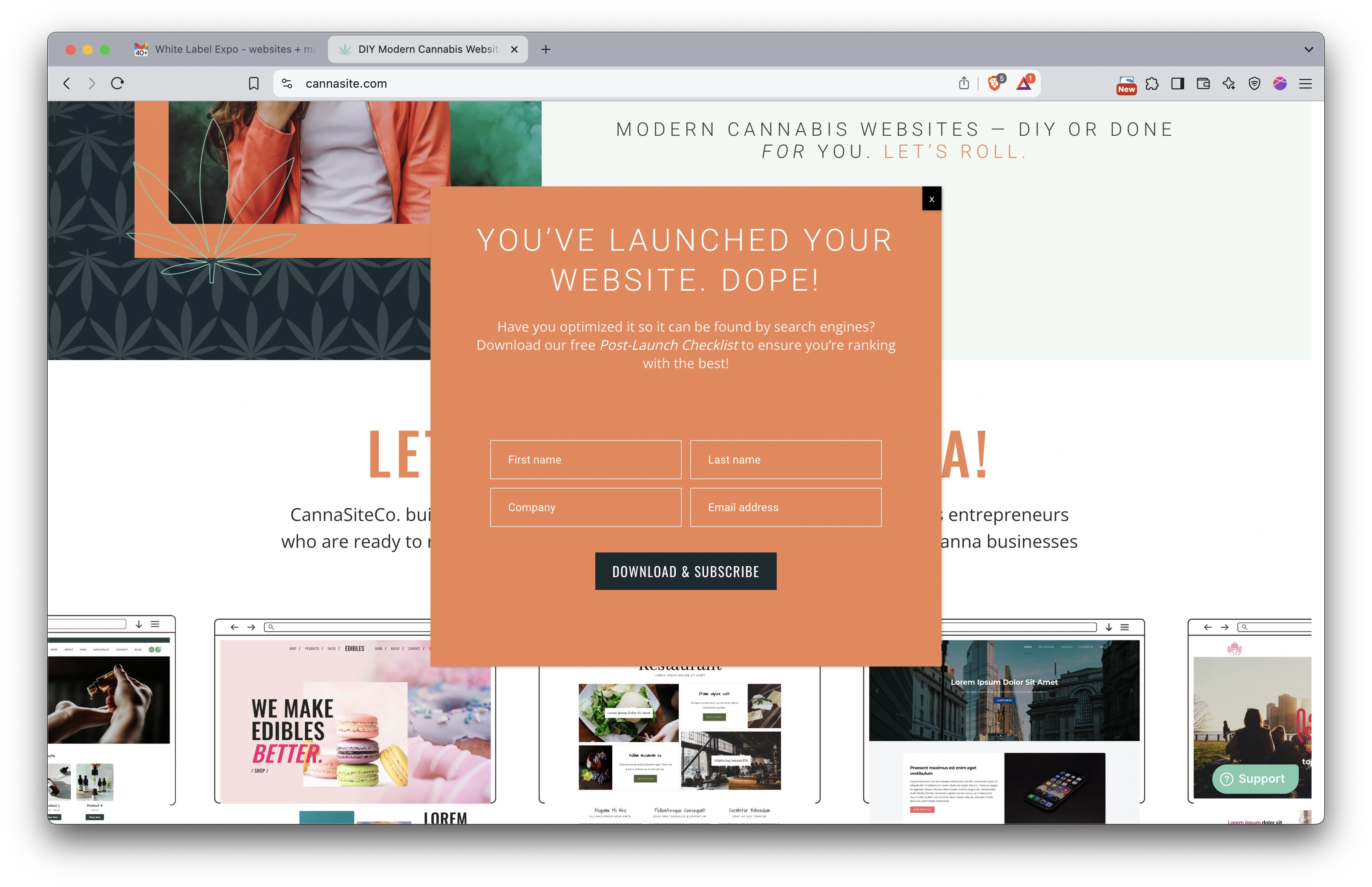 Marketing Agency Email