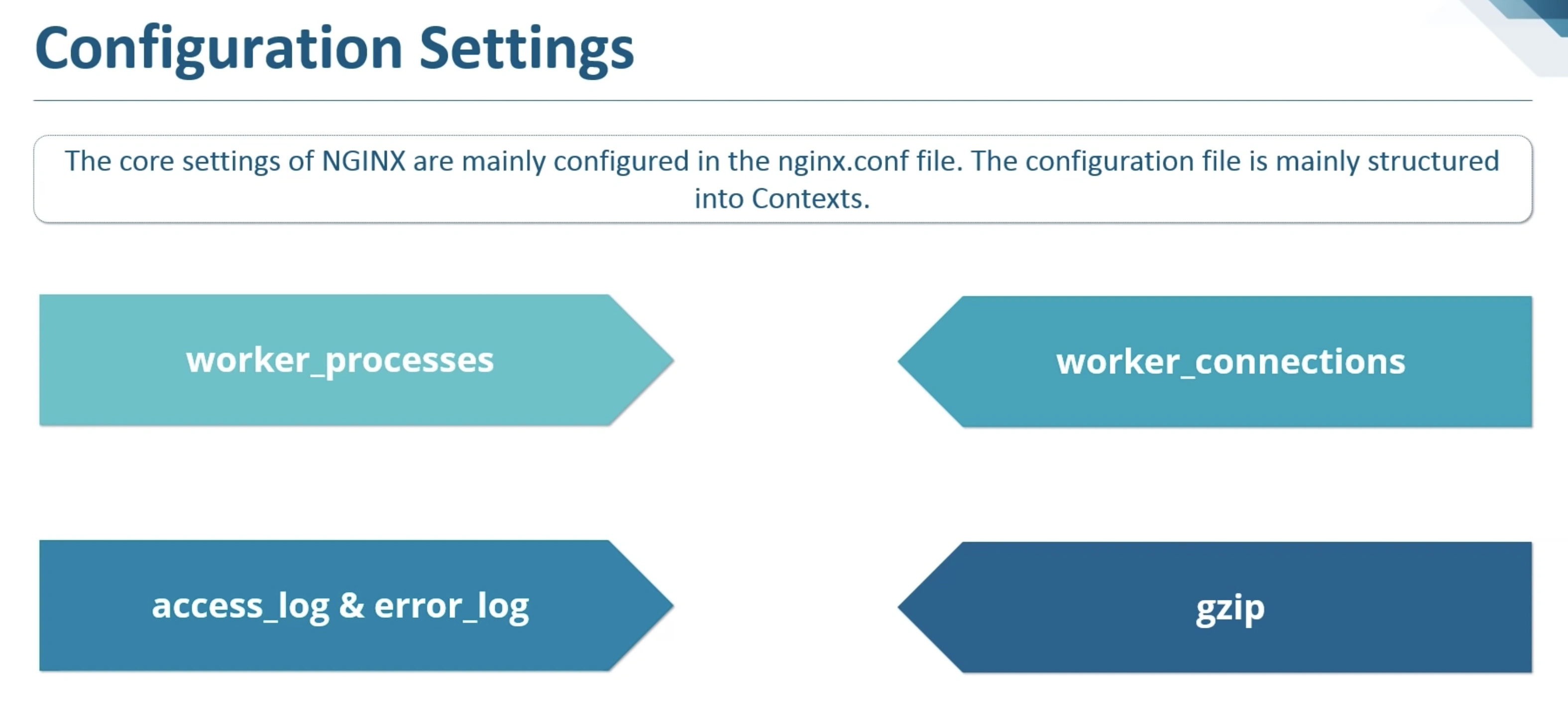 nginx config