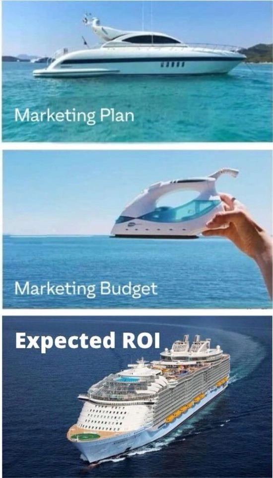 Big Vision + Small Budget = Expect small results