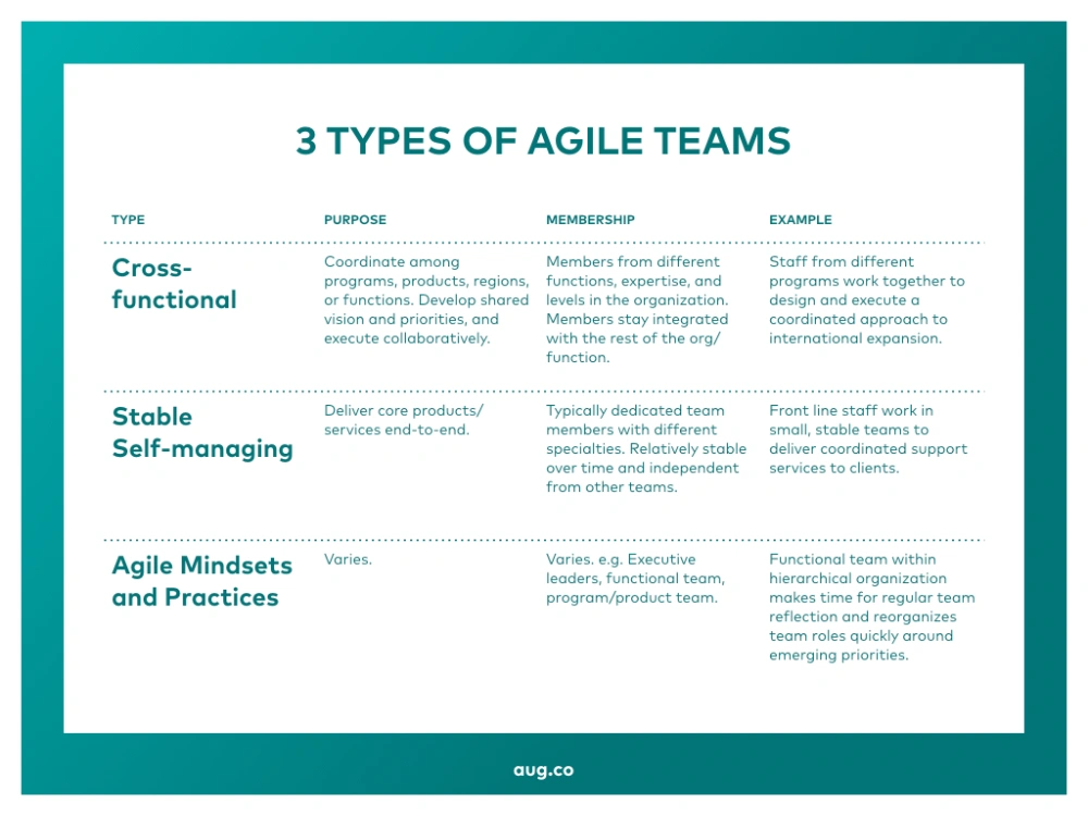 Agile Team Types